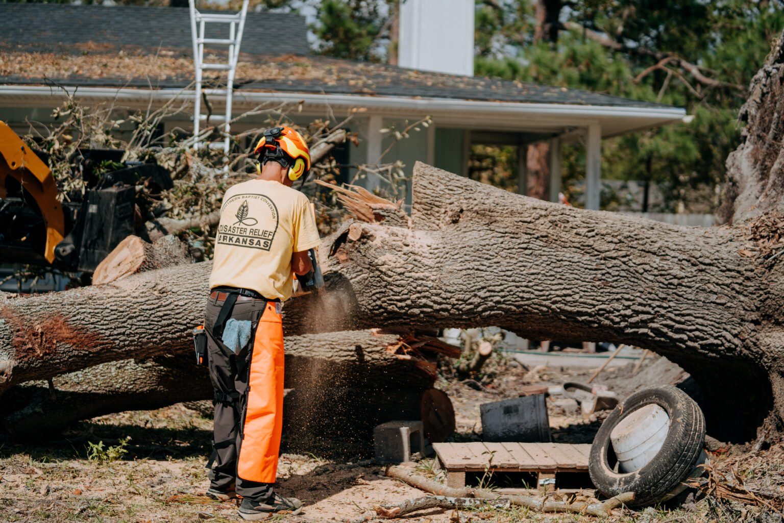 A volunteer work team clearing a fallen tree on campus